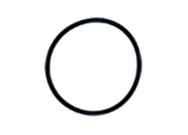 Watts Water Quality - Fh4200ww12 Housing O Ring - OR-4
