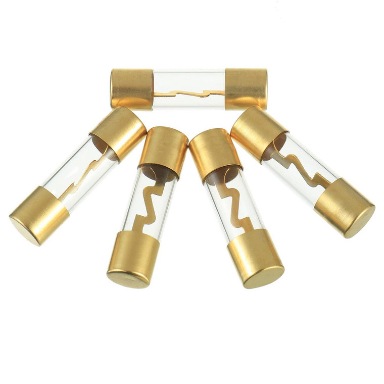 Xscorpion AGU 100 Amp Fuse Gold Plated Ends (5 pack) - AGU100G