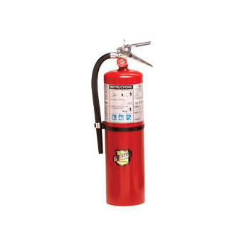 Buckeye Fire - 10 Lb. Abc - 11340