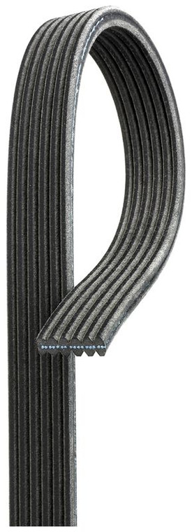 Gates - V-ribbed Belt - DK060472