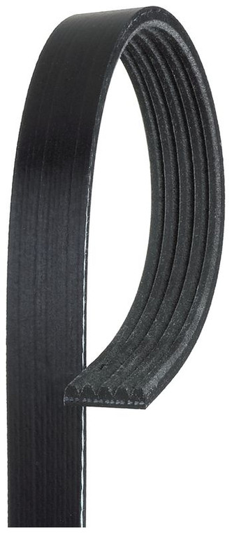 Gates - V-ribbed Belt - K050345