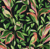 York Wallcoverings TC2651 Tropical Love Birds Wallpaper,Black / Green / Peach/ Red Prepasted Surestrip 27 In wide x 27 ft long 60.8 Sq Ft Designer Quality