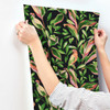 York Wallcoverings TC2651 Tropical Love Birds Wallpaper,Black / Green / Peach/ Red Prepasted Surestrip 27 In wide x 27 ft long 60.8 Sq Ft Designer Quality