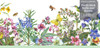 GB50071 Living Garden Peel and Stick Wallpaper Border 10in Height x 15ft Off White Blue Green Yellow Purple