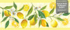 GB50121 Grace & Gardenia Lemon Flower Peel and Stick Wallpaper Border 10in Height x 15ft Yellow Green White