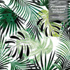 GW2211 Grace & Gardenia Modern Tropical Palm Foliage Peel and Stick Wallpaper Roll 20.5 inch Wide x 18 ft. Long, Green White Black