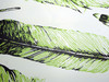 GW3032 Grace & Gardenia Exotic Feathers Peel and Stick Wallpaper Roll 20.5 inch Wide x 18 ft. Long, Green Black