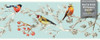 GB30011 Grace & Gardenia Birds in Pines Peel and Stick Wallpaper Border 10in Height x 15ft Long, Blue White Pink Yellow