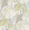 2969-26009 Samara Lime Monstera Leaf Wallpaper Tropical Style Botanical Theme Non Woven Material Pacifica Collection from A-Street Prints by Brewster Made in Great Britain