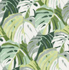 2969-26006 Samara Green Monstera Leaf Wallpaper Tropical Style Botanical Theme Non Woven Material Pacifica Collection from A-Street Prints by Brewster Made in Great Britain