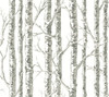 York Wallcoverings Black and White Resource Library BW3901 Paper Birch Wallpaper White Gray