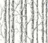 York Wallcoverings Black and White Resource Library BW3902 Paper Birch Wallpaper Black White