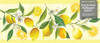 GB50121g8 Grace & Gardenia Lemon Flower Peel and Stick Wallpaper Border 8 in Height x 15ft Yellow Green White