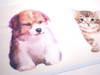 GB30021g8 Kittens & Puppies Peel and Stick Wallpaper Border 8 in Height x 15ft Long, Off White Brown Blue