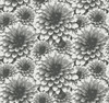 2861-87518 Umbra Charcoal Floral Wallpaper Modern Style Botanical Theme Unpasted Non Woven Material Equinox Collection from A-Street Prints by Brewster Made in Great Britain