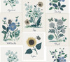 RP7335 Botanical Prints Wallpaper White, Blue from Rifle Paper Co. Second Edition by York Wallcoverings