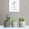 2999-24270 Tuckernuck Linen Wallpaper in Gray Off White Colors with Horizontal and Vertical Weave Fabric Textures Graphics Style Non Woven Unpasted Wall Covering by Brewster