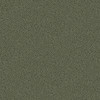 2999-55000 Anna Fern Trail Wallpaper in Dark Green Colors with Curling Fronds Leaves Botanical Style Non Woven Unpasted Wall Covering by Brewster