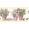Norwall FK78457 Fresh Kitchens 5 Floral Herb Yellow Green Pink Wallpaper Border