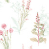 AB42442 Norwall Wallcoverings Abby Rose 3 Flora Teal Pink Wallpaper