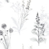 Norwall Wallcoverings AB42443 Abby Rose 3 Flora Gray Black Wallpaper