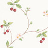 Norwall Wallcoverings  FK26957 Fresh Kitchens 5 Cherry Trail Wallpaper Red, Green