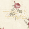Norwall Rose Garden 2 CG28860 Script Rose Red Tan Cream Gold  Wallpaper