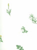 Norwall Wallcoverings KC18532 Kitchen Elements Herb Sidewall Wallpaper Yellow, Greens