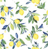 NUS3161 Lemon Drop Peel & Stick Wallpaper with Brilliant Fruits Leaves in Yellow Blue Green Colors Kitchen & Bath Style Peel and Stick Adhesive Vinyl