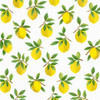 DB20403 Lemoncello Botanical Off White Vinyl Self Adhesive Contemporary Style Wallpaper by Daisy Bennett Made in United States