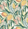 4014-26419 Meyer Peach Orange Citrus Botanical Wallpaper Non Woven Unpasted Wall Covering Seychelles Collection from A-Street Prints by Brewster Made in Great Britain