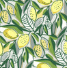 4014-26420 Meyer Yellow Citrus Botanical Wallpaper Non Woven Unpasted Wall Covering Seychelles Collection from A-Street Prints by Brewster Made in Great Britain