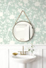 LN20504 Mono Toile Seaglass Green Wallpaper Coastal Style Self-Adhesive Vinyl Wall Covering from Lillian August Made in United States