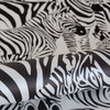 DD347453 Jemima Black Zebra Wallpaper Glam Style Unpasted Non Woven Wall Covering Design Department Collection from Origin by Brewster Made in Netherlands