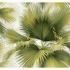 2927-40114 Summer Palm Tropical Green Botanical Theme Unpasted Gravure Acrylic Coated Wallpaper from A-Street Prints Newport Made in United States