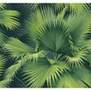 2927-40104 Summer Palm Tropical Dark Green Botanical Theme Unpasted Gravure Acrylic Coated Wallpaper from A-Street Prints Newport Made in United States