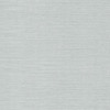 DD3731 Shining Sisal Grasscloth Silver Metallic Metallics Theme Unpasted Non Woven Wallpaper from Antonina Vella Dazzling Dimensions Volume II