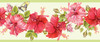 Pack of two GB20031p2 Hibiscus and Butterfly Peel and Stick Wallpaper Border in Pink Green with Pro Squeegee Made in USA Grace and Gardenia Designs