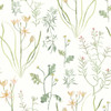 PSW1519RL Alphine Botanical Peach Green Off White Botanical Theme Peel and Stick Wallpaper from York Premium Peel + Stick