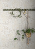 4143-22023 Turi Twining Vines Khaki Neutral Botanical Theme Non Woven Wallpaper from Botanica by A-Street Prints Made in Sweden
