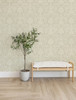 4157-25009 Evette Damask Neutral Off White Traditional Style Unpasted Non Woven Wallpaper Curio Collection Made in Great Britain
