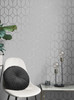 4157-42803 Raye Rosco Trellis Silver Gray Modern Style Unpasted Paper Wallpaper Curio Collection Made in Great Britain