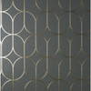 4157-42804 Raye Rosco Trellis Charcoal Gray Modern Style Unpasted Paper Wallpaper Curio Collection