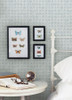 3125-72305 Button Block Geometric Blue Graphics Theme Prepasted Sure Strip Wallpaper Kinfolk Collection Made in United States