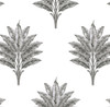 HG10600 Sea Breeze Palm Charcoal Botanical Theme Vinyl Self-Adhesive Wallpaper Harry & Grace Peel and Stick Collection Made in United States