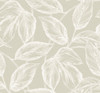 SC20005 Beckett Sketched Leaves Oat Botanical Theme Nonwoven Unpasted Wallpaper Summer House Collection Made in United States