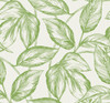 SC20004 Beckett Sketched Leaves Apple Green Botanical Theme Nonwoven Unpasted Wallpaper Summer House Collection Made in United States