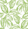 NW46904 Sketched Leaves Greenery Botanical Theme Vinyl Self-Adhesive Wallpaper NextWall Peel & Stick Collection Made in United States