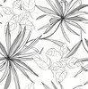 NW36300 Spider Plants Grayscale Botanical Theme Vinyl Self-Adhesive Wallpaper NextWall Peel & Stick Collection Made in United States