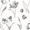 NW38100 Tulip Toss Black and White Floral Theme Vinyl Self-Adhesive Wallpaper NextWall Peel & Stick Collection Made in United States